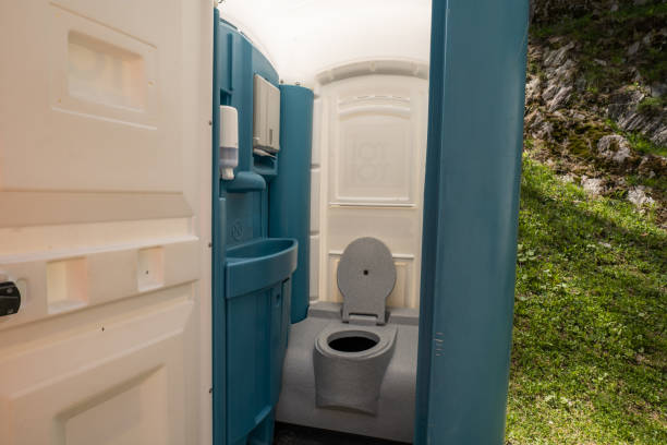 Best Affordable portable toilet rental  in Manistique, MI